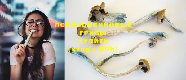 меф Белокуриха