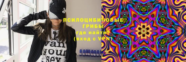 дурь Нягань