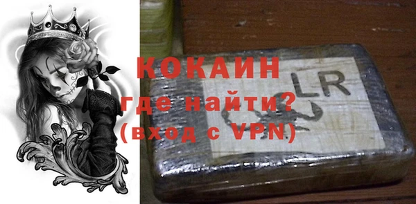 крисы Баксан